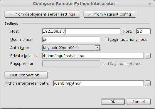 Configuration of the remote Python SDK